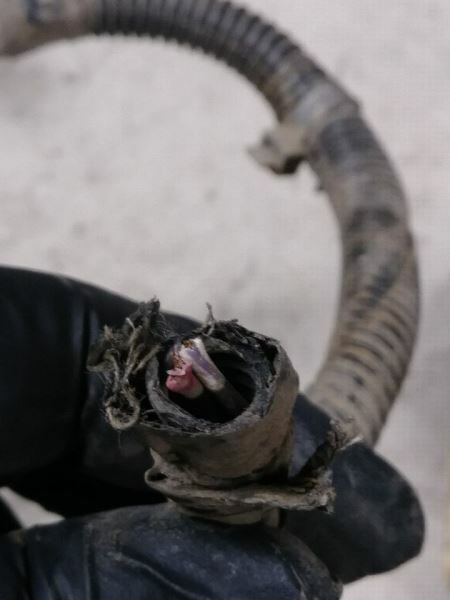 Frame Wire Harness #56045517AD 2001 Dodge Ram 2500