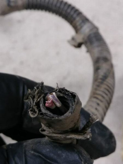 Frame Wire Harness #56045517AD 2001 Dodge Ram 2500